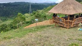 Land for sale in Lahug, Cebu