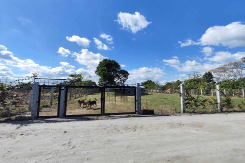 Land for sale in Salu, Pampanga