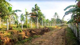 Land for sale in Taywanak Ibaba, Cavite