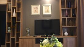 1 Bedroom Condo for rent in Quattro by Sansiri, Khlong Tan Nuea, Bangkok near BTS Thong Lo