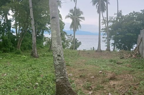 Land for sale in Poblacion, Davao del Norte