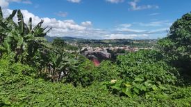 Land for sale in Talamban, Cebu