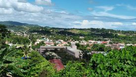 Land for sale in Talamban, Cebu