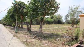 Land for sale in Lomboy, Pangasinan