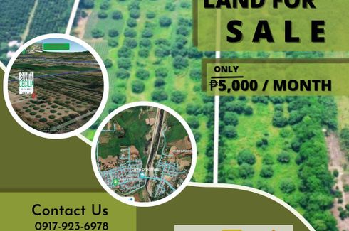 Land for sale in Santa Lucia, Tarlac