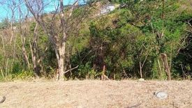 Land for sale in Natipuan, Batangas