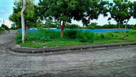 Land for sale in Mactan, Cebu