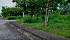 Land for sale in Mactan, Cebu