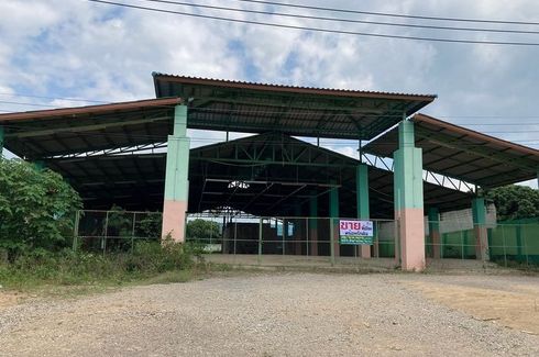 Land for sale in Ban Tan, Chiang Mai