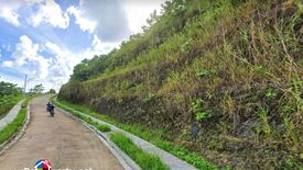 Land for sale in Guadalupe, Cebu