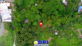 Land for sale in Alejandra Navarro, Davao del Sur