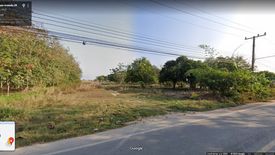 Land for sale in Nong Prue, Chonburi