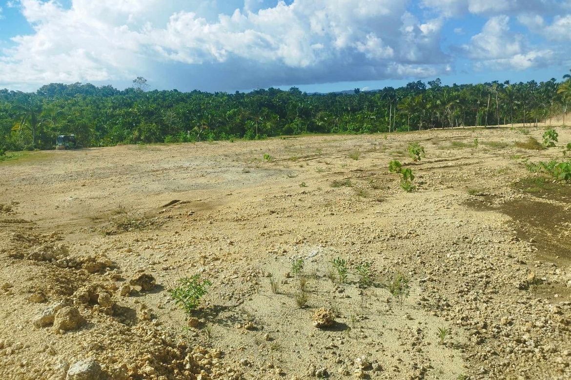 Rush Sale!!! Lot for Sale !!! 500 sqm with 8 meters wide road in San