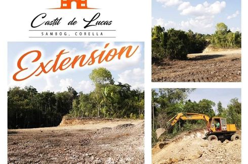 Land for sale in Cancatac, Bohol