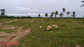 Land for sale in Olango, Cebu