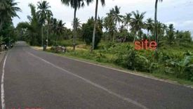 Land for sale in Olango, Cebu