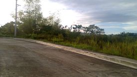 Land for sale in Casili, Cebu