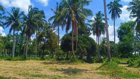 Land for sale in Laiya-Aplaya, Batangas