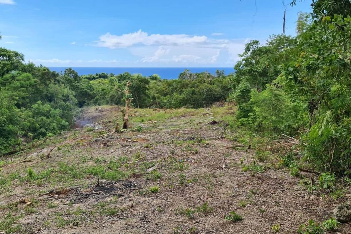 5,011 sq.m TITLED Overlooking lot for sale in Tayong Occidental Loay