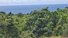 Land for sale in Tayong Occidental, Bohol