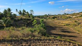 Land for sale in Salagmaya, Cebu