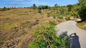 Land for sale in Salagmaya, Cebu