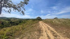 Land for sale in Santo Rosario, Tarlac
