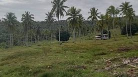 Land for sale in Guimbangco-An, Cebu