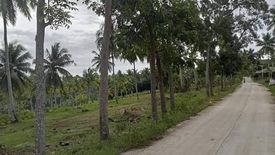 Land for sale in Guimbangco-An, Cebu