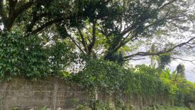 Land for sale in Graceville, Bulacan