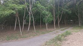 Land for sale in Krut, Surat Thani