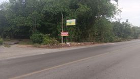 Land for sale in Krut, Surat Thani