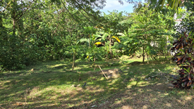 Land for sale in Lewin, Laguna