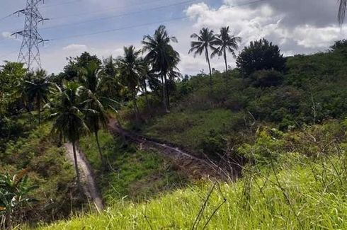 Land for sale in Quiot Pardo, Cebu