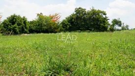 Land for sale in Canlubang, Laguna