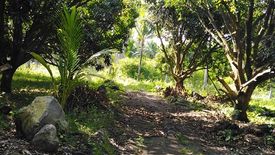 Land for sale in Tunga-Tunga, Negros Oriental