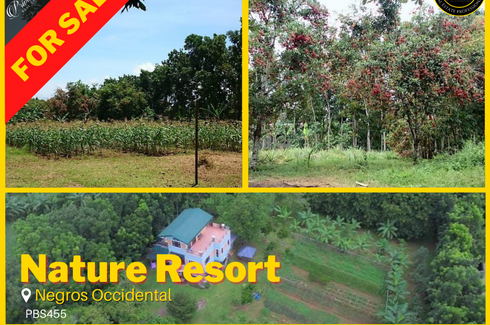 Land for sale in Ma-Ao Barrio, Negros Occidental