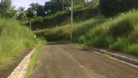 Land for sale in Cadulawan, Cebu