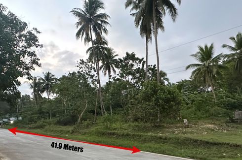 Land for sale in Bungahan, Bohol