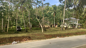 Land for sale in Bungahan, Bohol