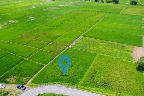 Land for sale in Pa Pong, Chiang Mai