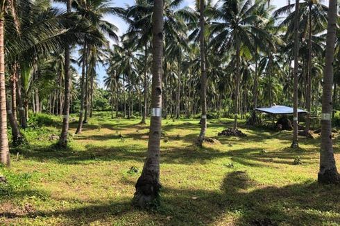 Land for sale in Timbanga, Negros Oriental