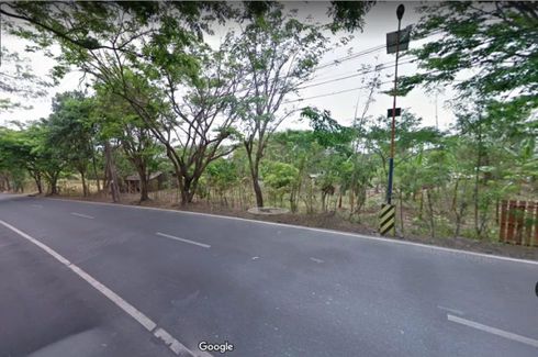 Land for sale in Perez, Cavite