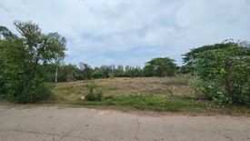 Land for sale in Land Plot Tala in Rawai, Takhli, Nakhon Sawan