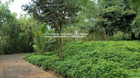 Land for sale in Cuyambay, Rizal