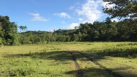 Land for sale in Cambacay, Bohol