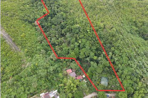 Land for sale in Cabangahan, Cebu