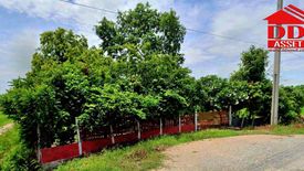 Land for sale in Wang Nam Sap, Suphan Buri