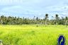 Land for sale in Salagmaya, Cebu