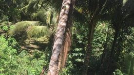 Land for sale in Guadalupe, Cebu